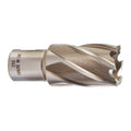 HSSAC 25 x 30 - 1 Stk.
