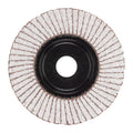 Flap disc Zirconium 125 mm / Grit 120