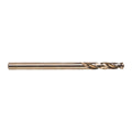 Holesaw Pilot Drill Bit 6 x 100 mm - 1 pc